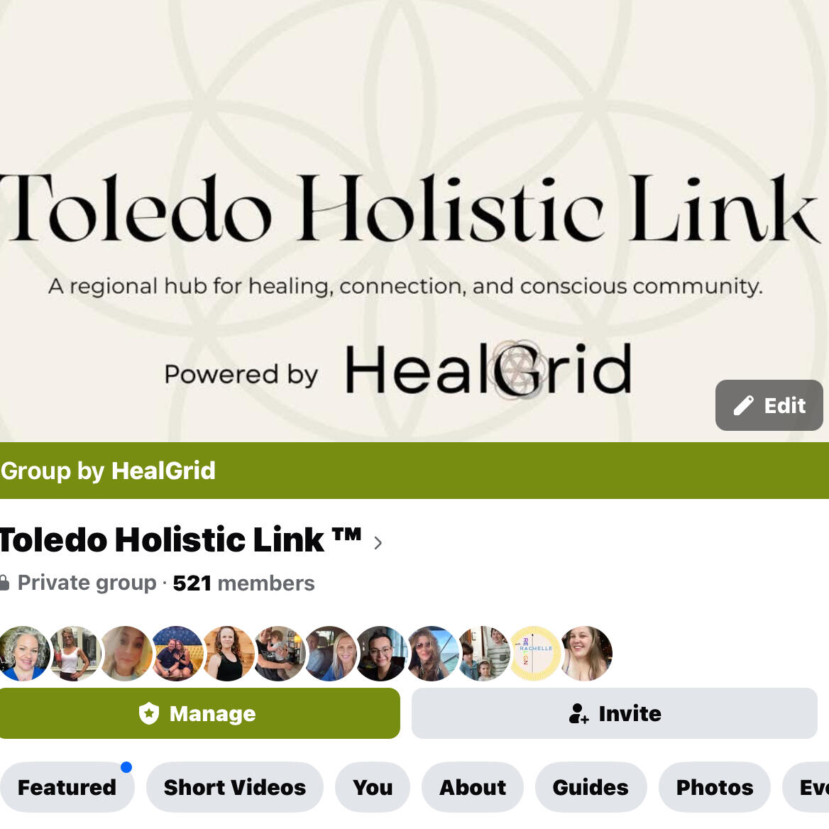 Toledo Holistic Link